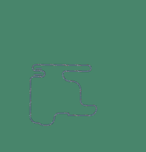 Hungary GP